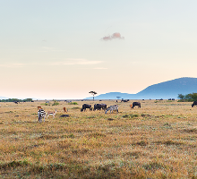 Kenya